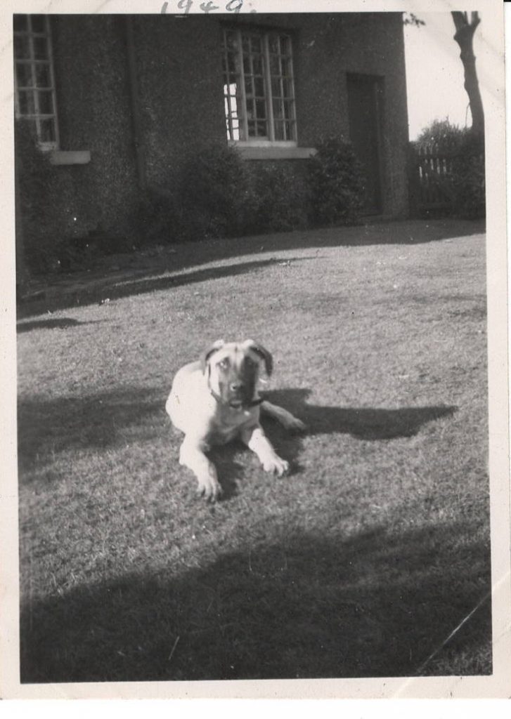 Threlfall_19-1-727x1024