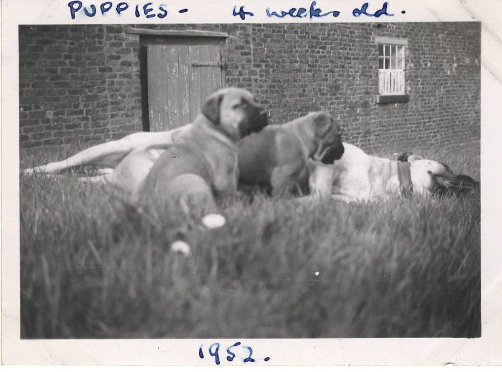 Threlfall_26-1-1024x759