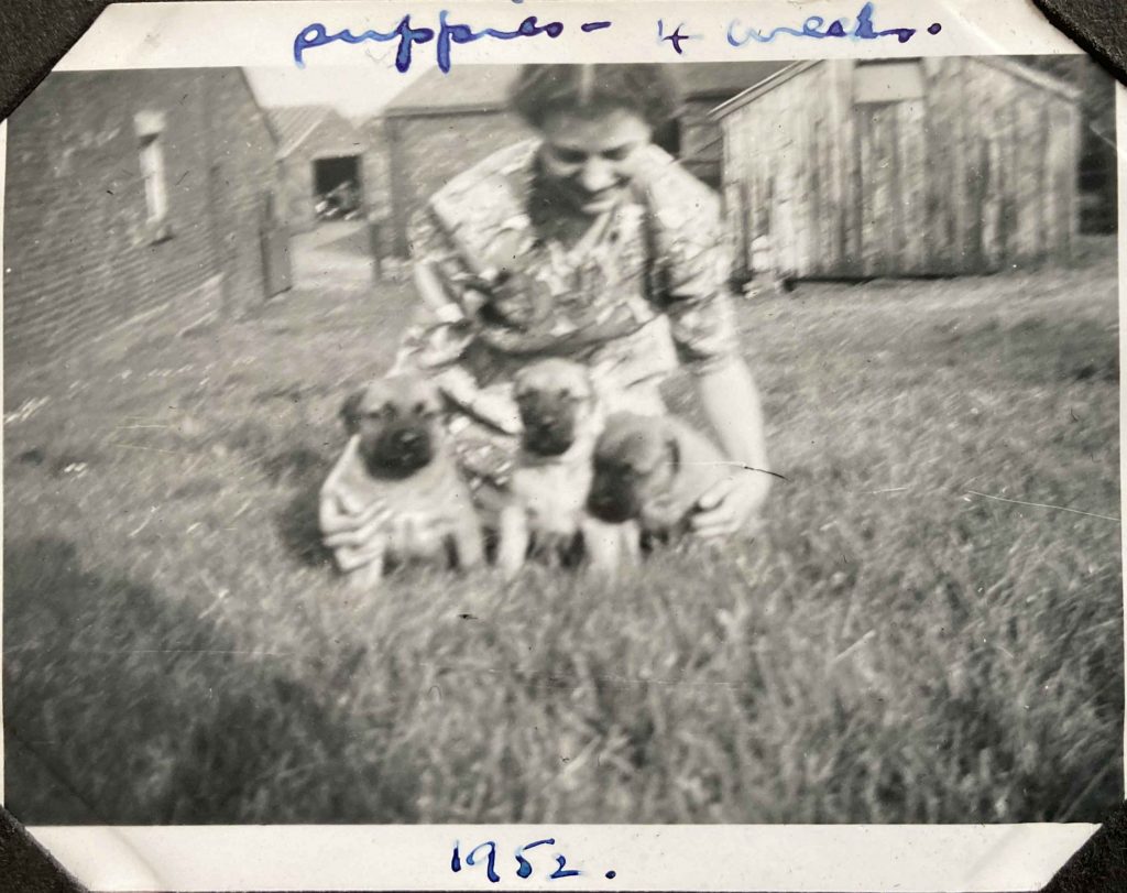 Threlfall_35-1024x811