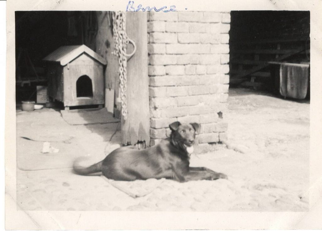 Threlfall_46-1-1024x735