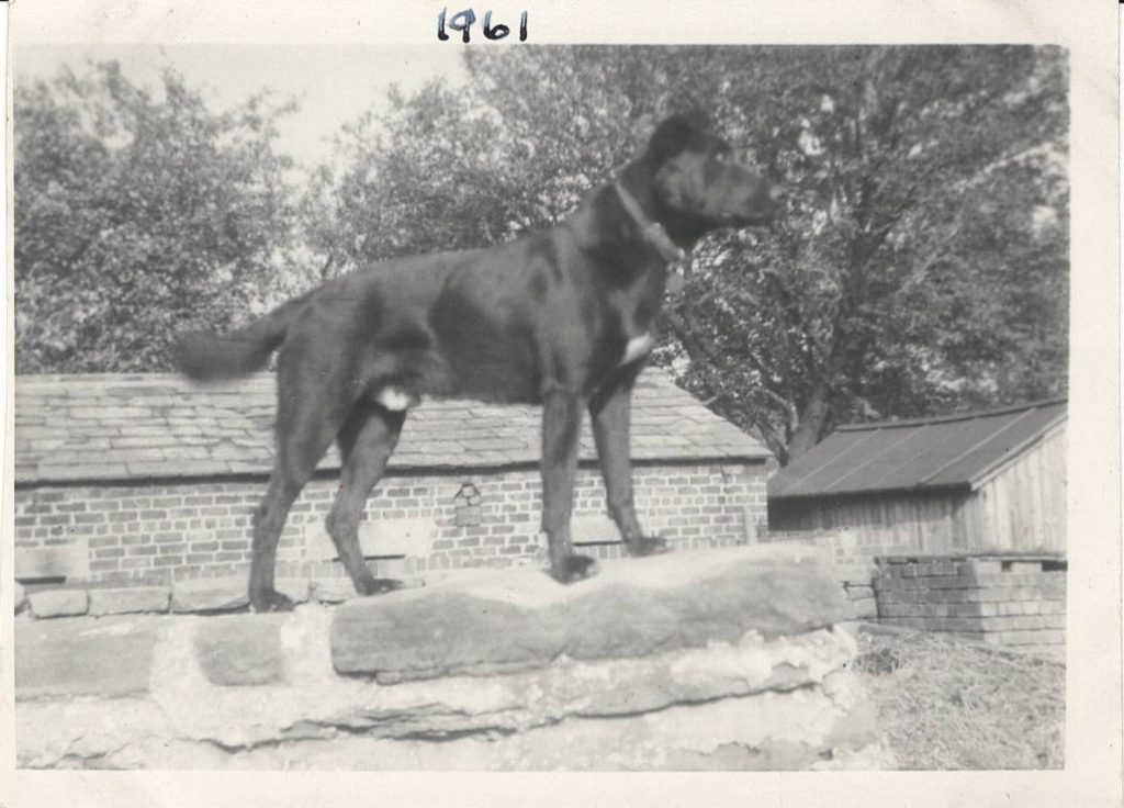 Threlfall_49-1-1024x736