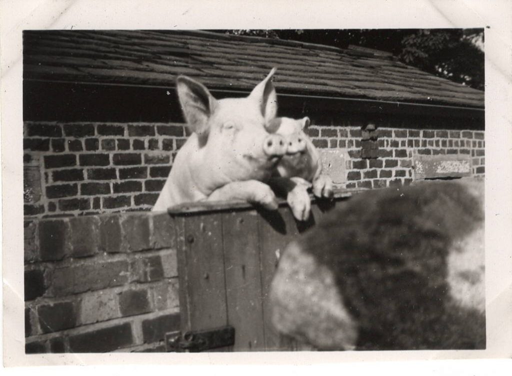 Threlfall_9-1-1024x753