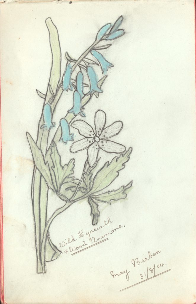 17_EE_Moorcroft_Autograph_Book-662x1024